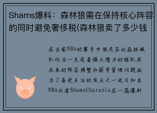 Shams爆料：森林狼需在保持核心阵容的同时避免奢侈税(森林狼卖了多少钱)