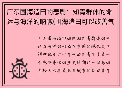 广东围海造田的悲剧：知青群体的命运与海洋的呐喊(围海造田可以改善气候吗)