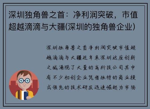 深圳独角兽之首：净利润突破，市值超越滴滴与大疆(深圳的独角兽企业)