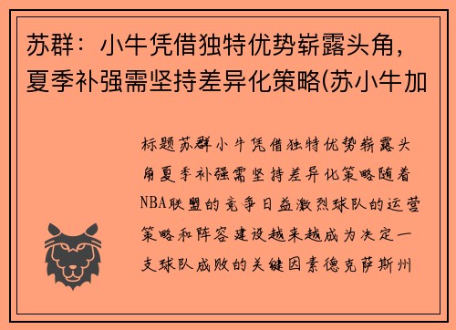 苏群：小牛凭借独特优势崭露头角，夏季补强需坚持差异化策略(苏小牛加盟)