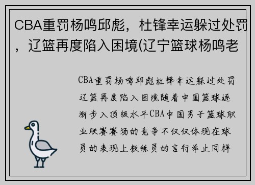 CBA重罚杨鸣邱彪，杜锋幸运躲过处罚，辽篮再度陷入困境(辽宁篮球杨鸣老婆)